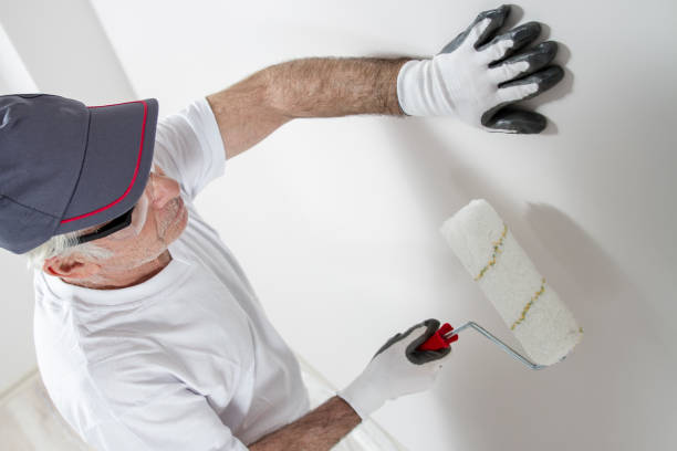 Best Drywall Removal and Disposal  in Columbia, MO